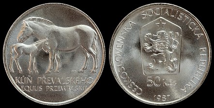 Loading coin image...